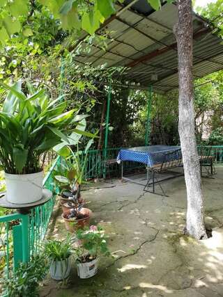 Гостевой дом С видом на море... Гагра-2