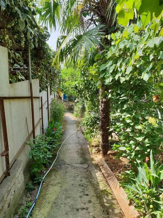 Гостевой дом С видом на море... Гагра-6